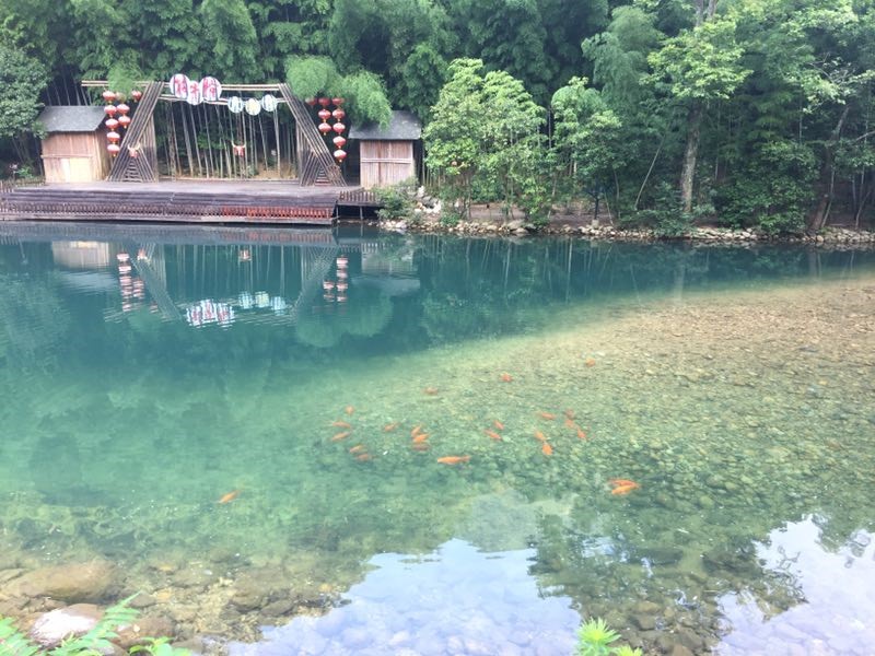品味石臺牯牛降 平衡技術(shù)劍平強-上海劍平動平衡機制造有限公司